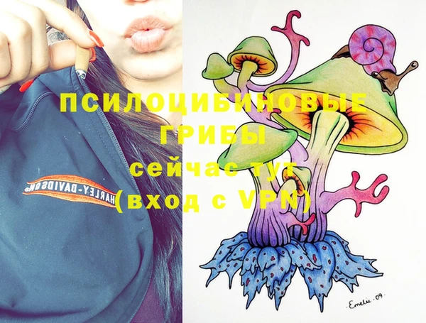 мескалин Бородино