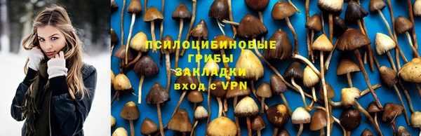мяу мяу мука Бугульма
