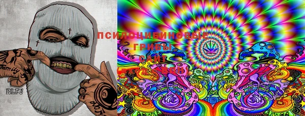 мяу мяу мука Бугульма